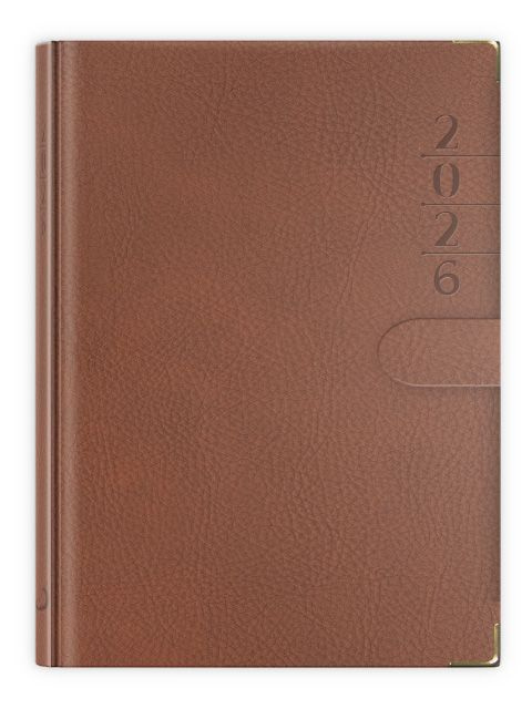 B6 Lux Złocony z zapinką 2026 - brązowy