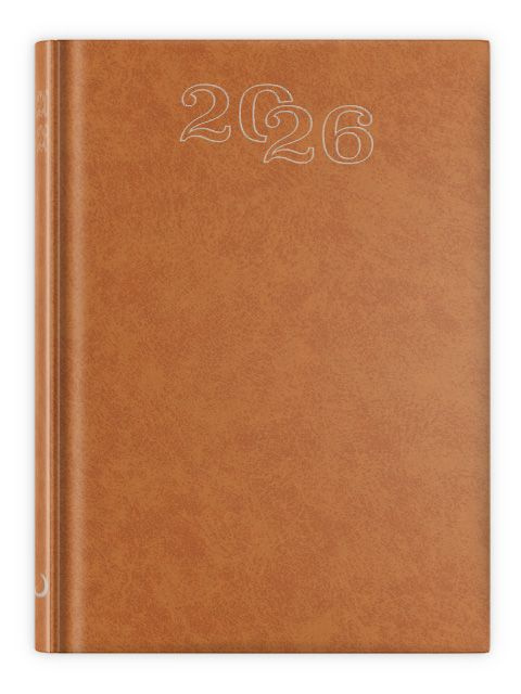 B6 Standard 2026 - brązowy