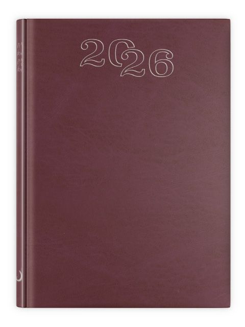 B6 Standard 2026 -  bordowy