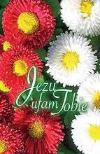 Jezu, ufam Tobie - bilecik PL