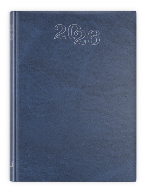 B7 Standard 2026 - niebieski