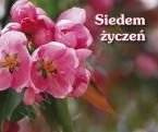 Siedem życzeń