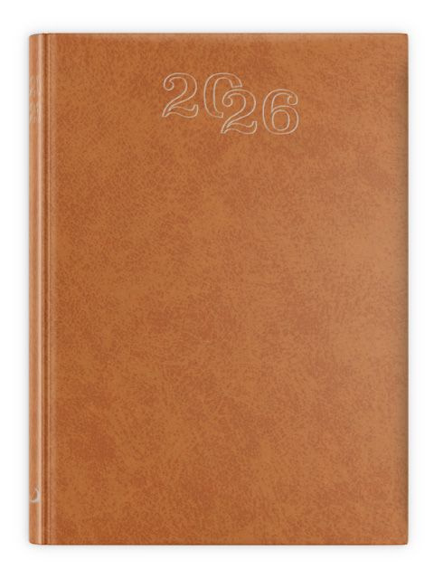 B7 Standard 2026 - brązowy