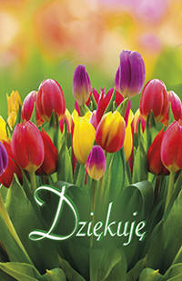 BILECIK: Dziękuję (tulipany)