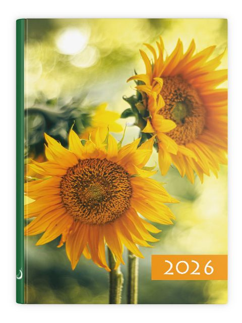 B7 Kolorowy 2026 - słoneczniki