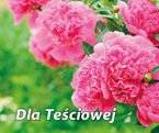 Dla teściowej