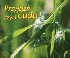 Przyjaźń czyni cuda