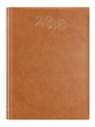 B7 Standard 2026 - brązowy