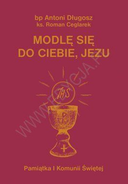 Modlę się do Ciebie, Jezu