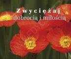 Zwyciężaj dobrocią i miłością