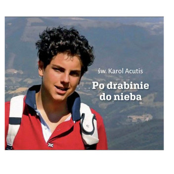Po drabinie do nieba